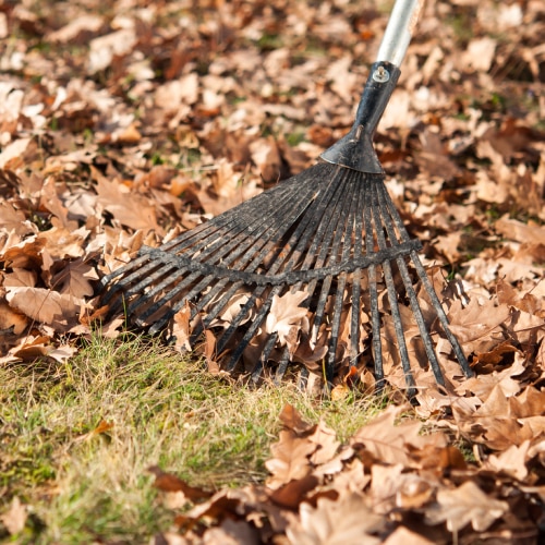 Spring Cleanups