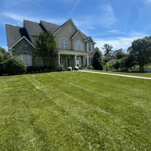 Residential Lawn Maintenance