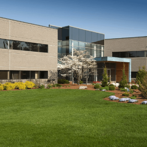Commercial Lawn Maintenance